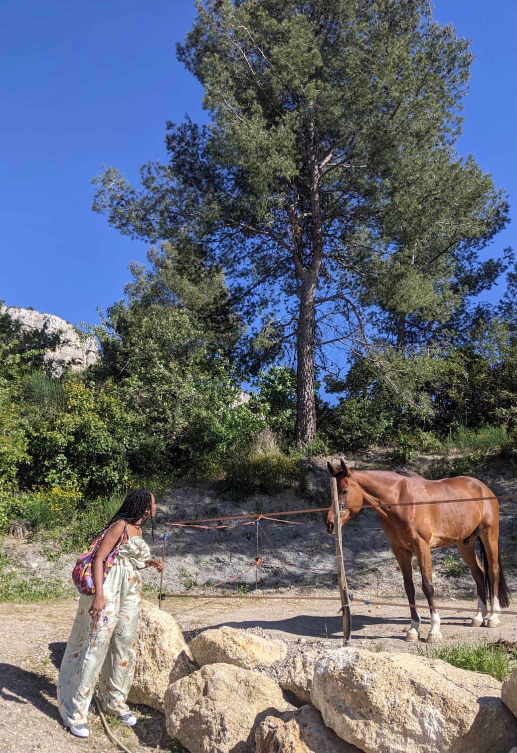 Combinaison jambes évasées imprimée fleuri à bretelles et volants